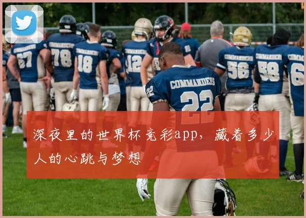 深夜里的世界杯竞彩app，藏着多少人的心跳与梦想
