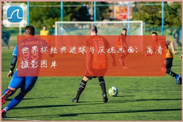世界杯经典进球与庆祝画面：高清摄影图库